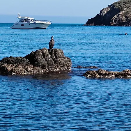 La perle de Collioure à 100 métres de la plage de sable fin avec piscine et parking Extérieur photo