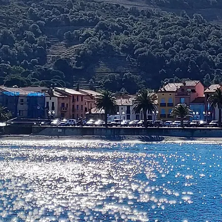 La perle de Collioure à 100 métres de la plage de sable fin avec piscine et parking Extérieur photo
