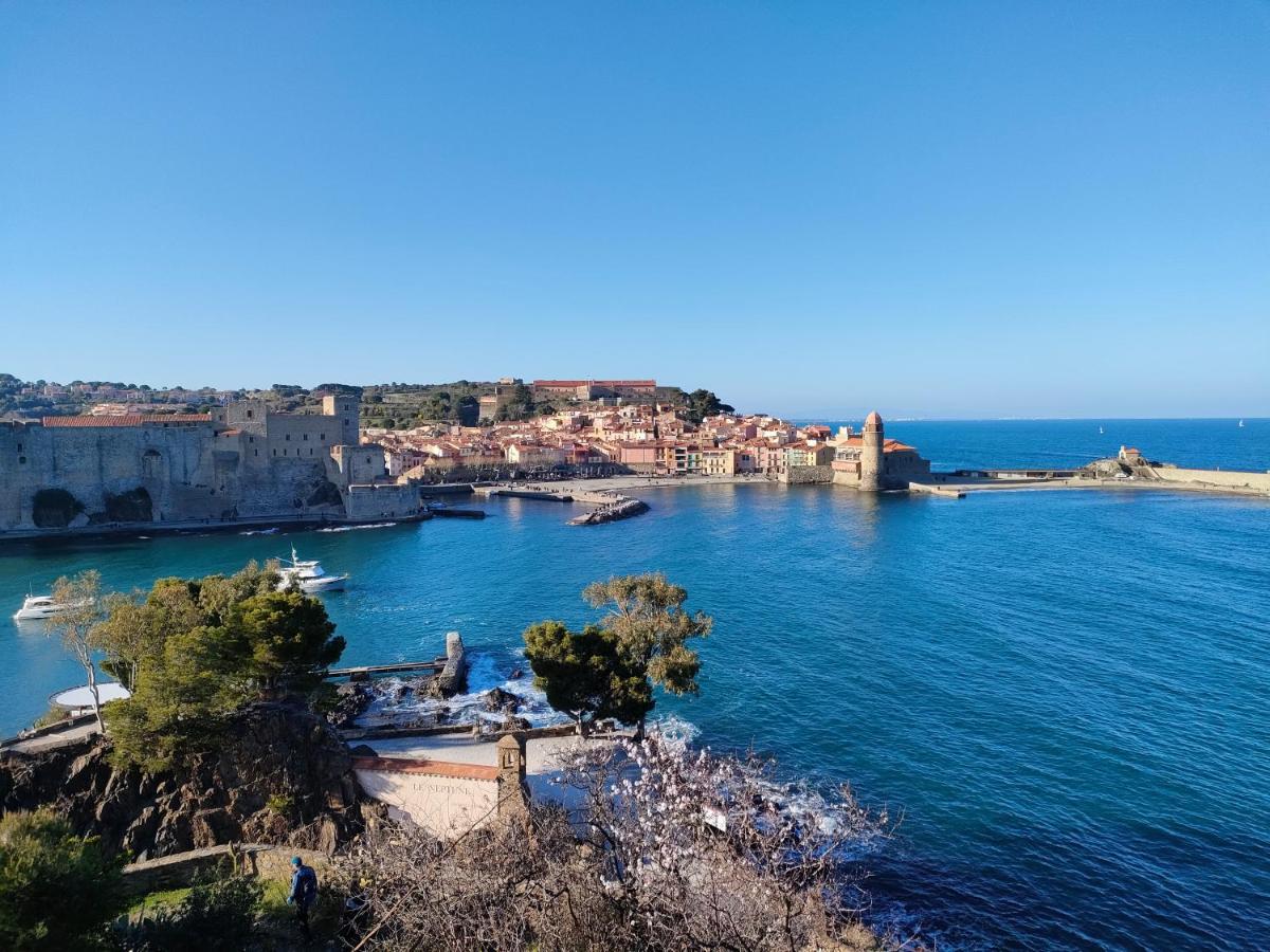 La Perle De à 100 Métres De La De Sable Fin Avec Piscine Et Parking * Collioure