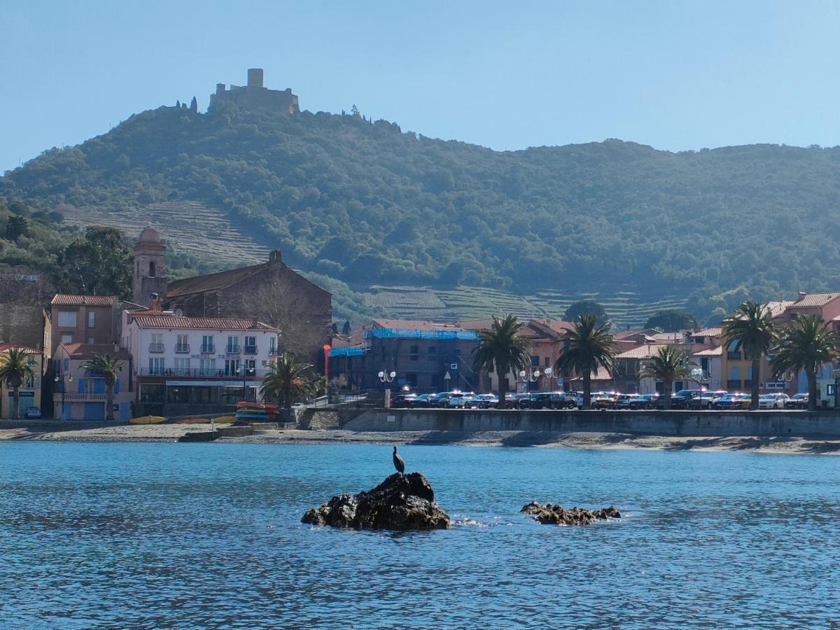 La Perle De à 100 Métres De La De Sable Fin Avec Piscine Et Parking Collioure
