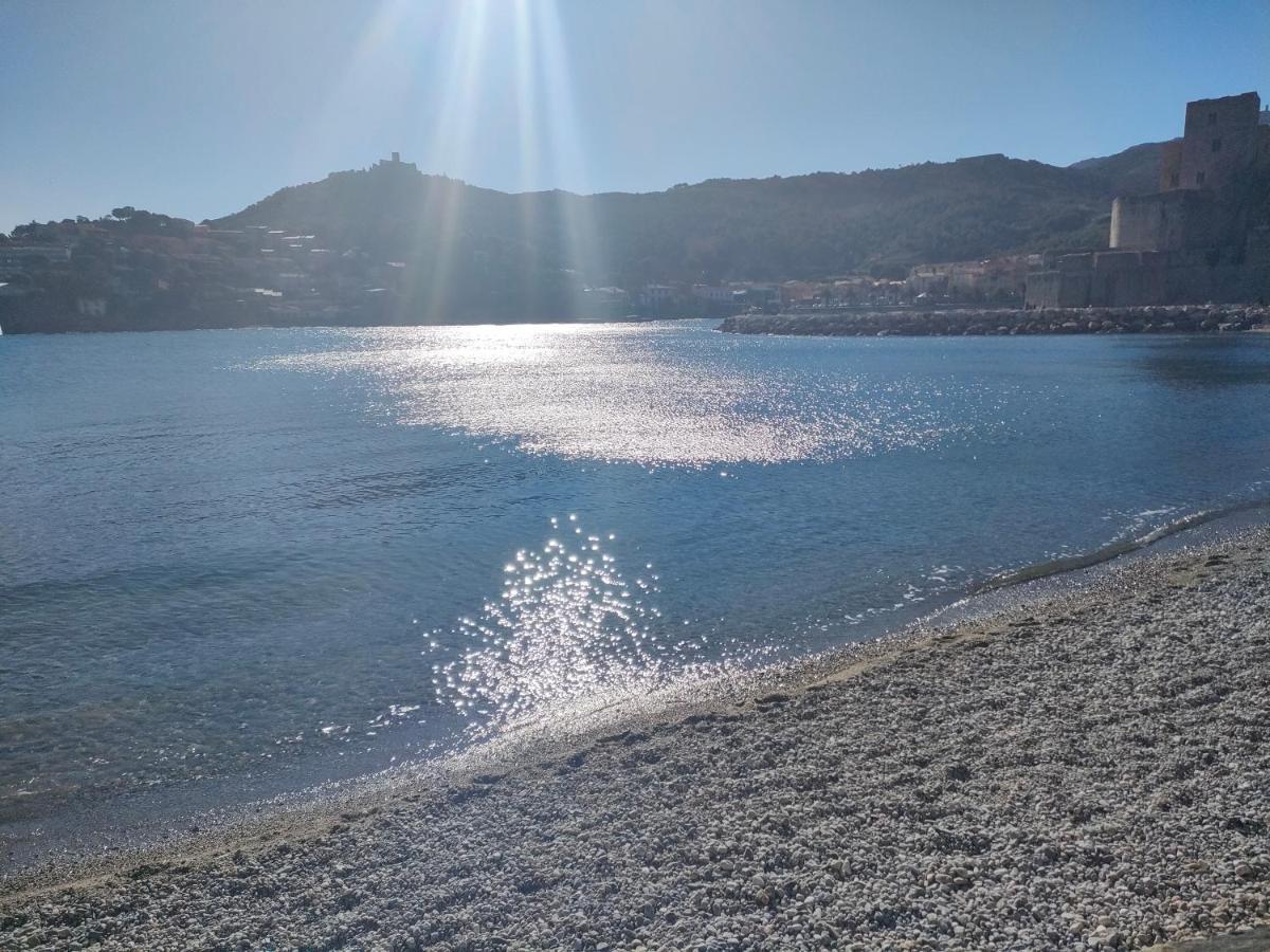 Apartment La Perle De A 100 Metres De La De Sable Fin Avec Piscine Et Parking Collioure
