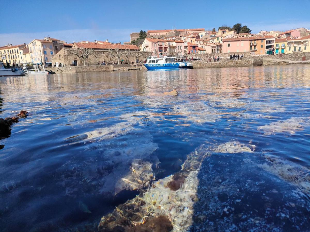 La Perle De à 100 Métres De La De Sable Fin Avec Piscine Et Parking * Collioure