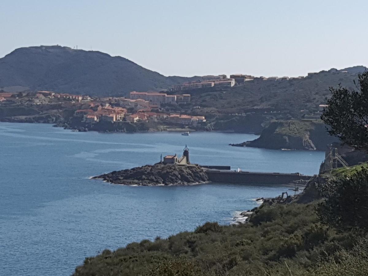 La Perle De à 100 Métres De La De Sable Fin Avec Piscine Et Parking Collioure