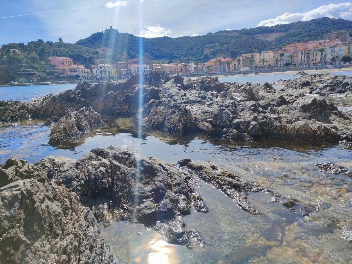 La Perle De à 100 Métres De La De Sable Fin Avec Piscine Et Parking Appartement *